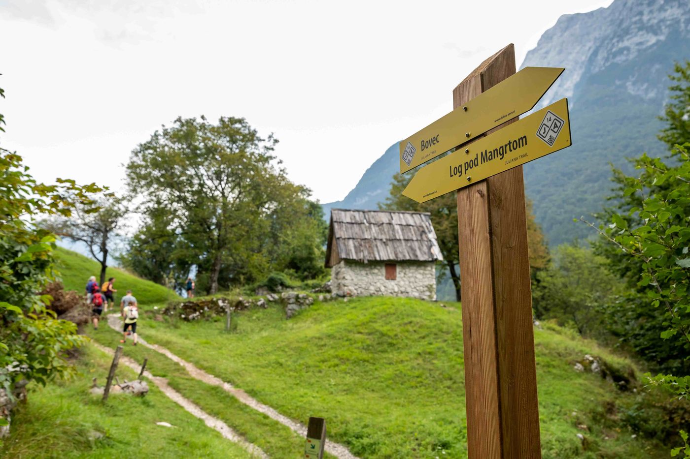 Stage 14 Log pod Mangartom Juliana Alps Slovenia
